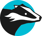 Badger Systems - ExprTk