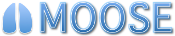 MOOSE - ExprTk